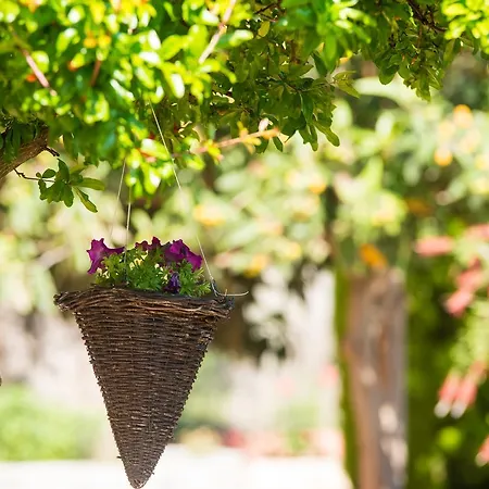 Mouses Thassos לימנאס