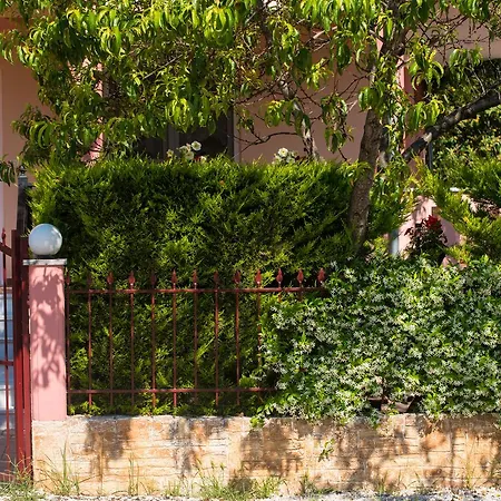 Mouses Thassos Limenas (Thasos)