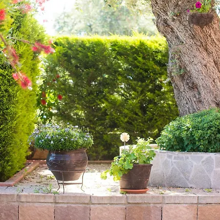 Mouses Thassos לימנאס